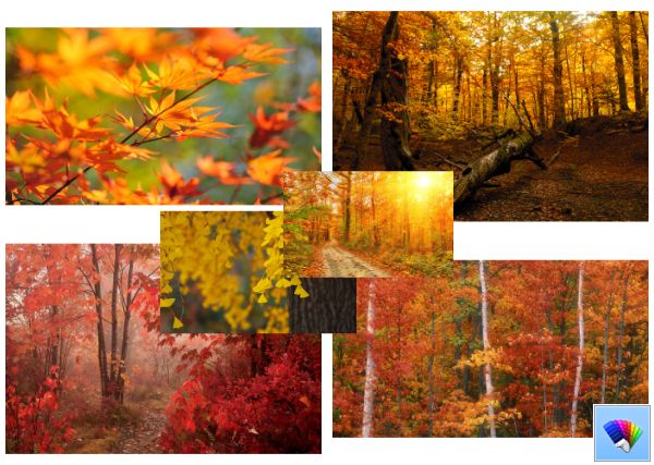 Autumn Desktop Theme Wallpaper In HD