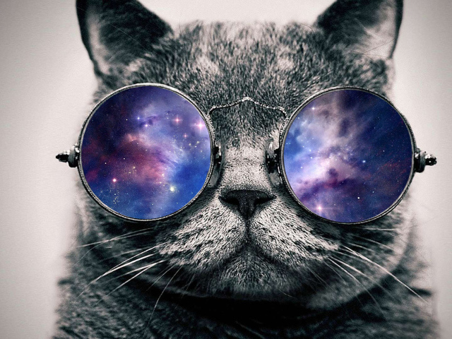 Cat In Space Wallpaper And Image Pictures Photos