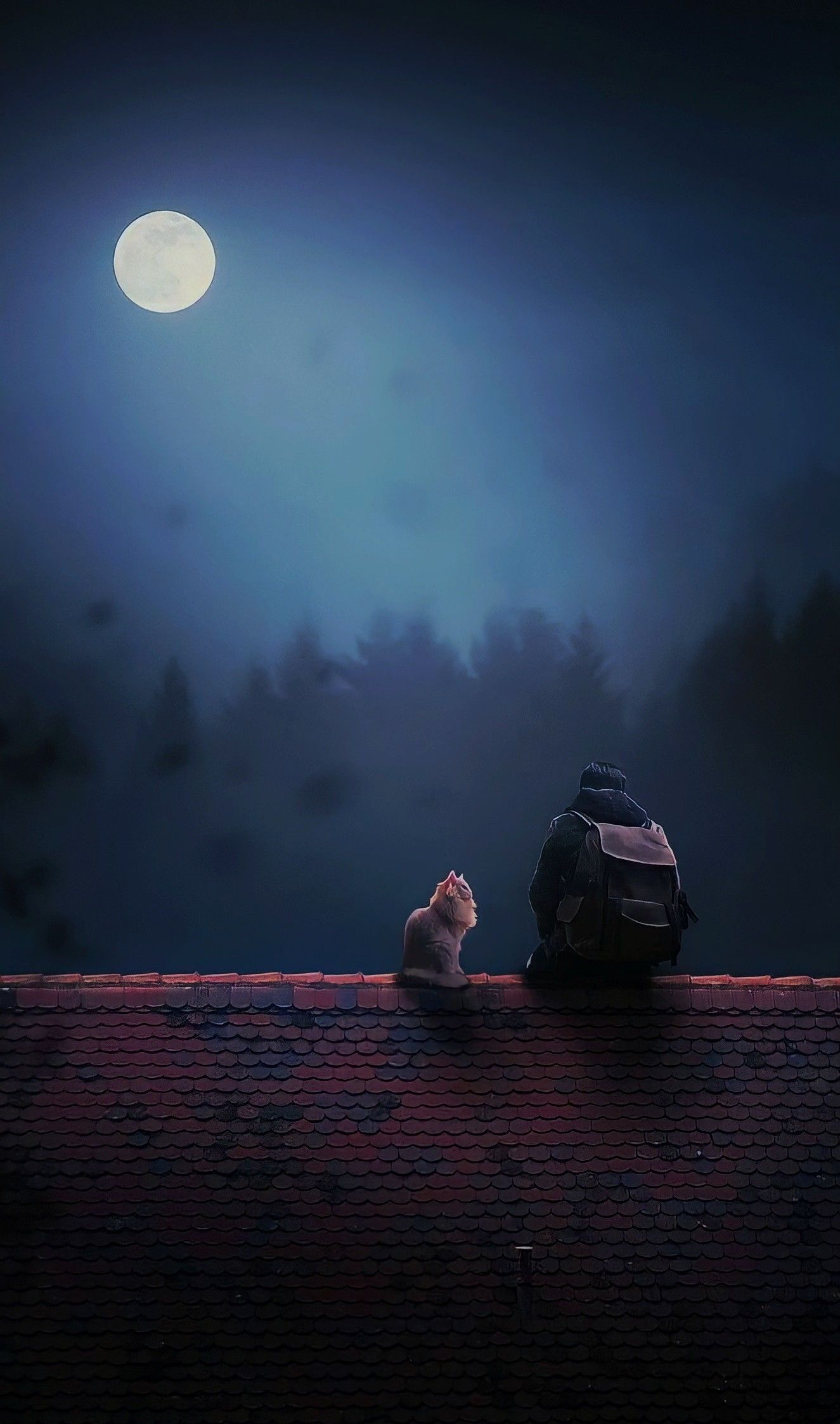 Film Picture Wallpaper