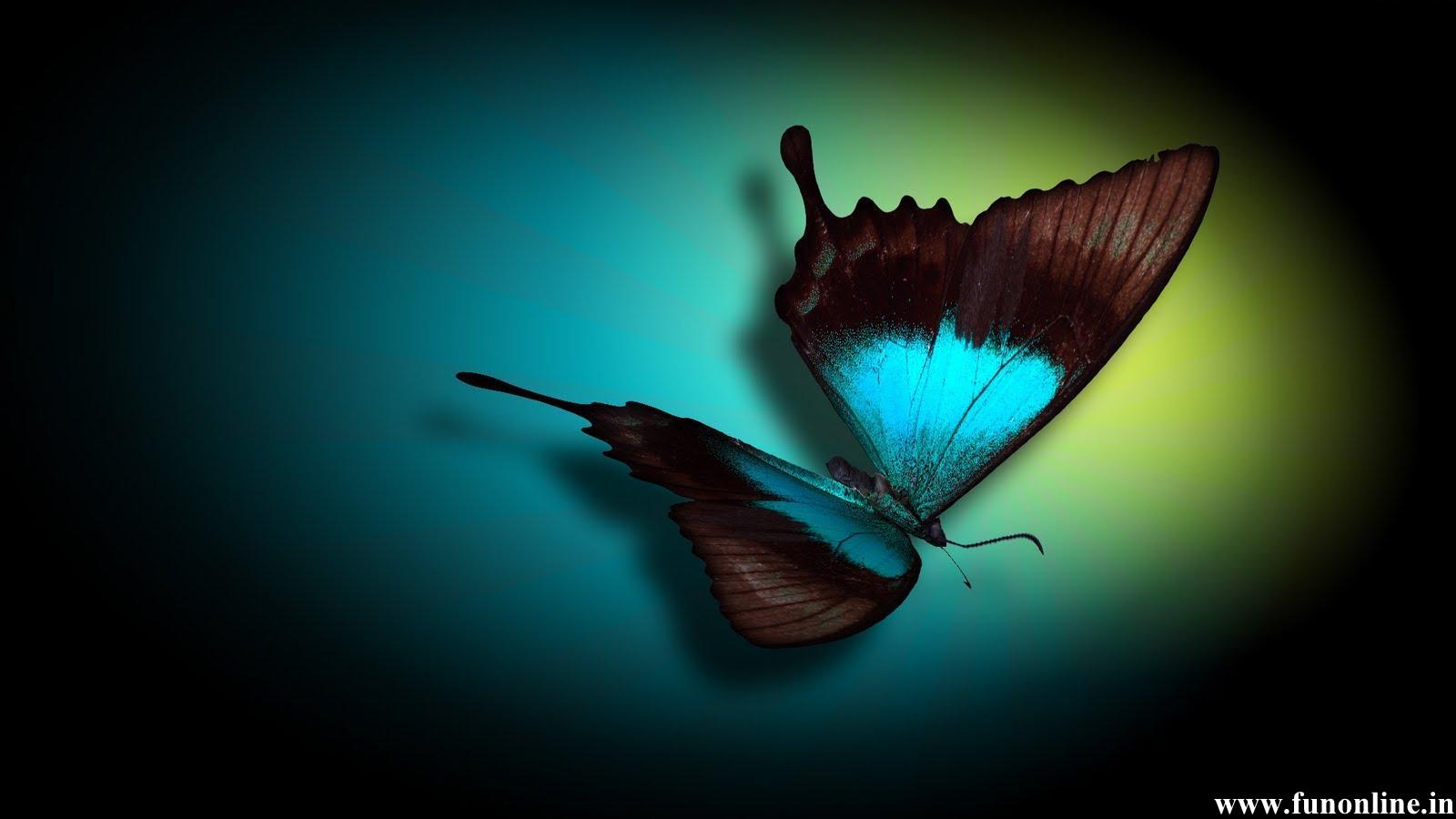 Blue Colored Butterfly With Black Background