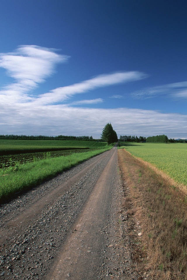 Straight Country Road iPhone 4s Wallpaper