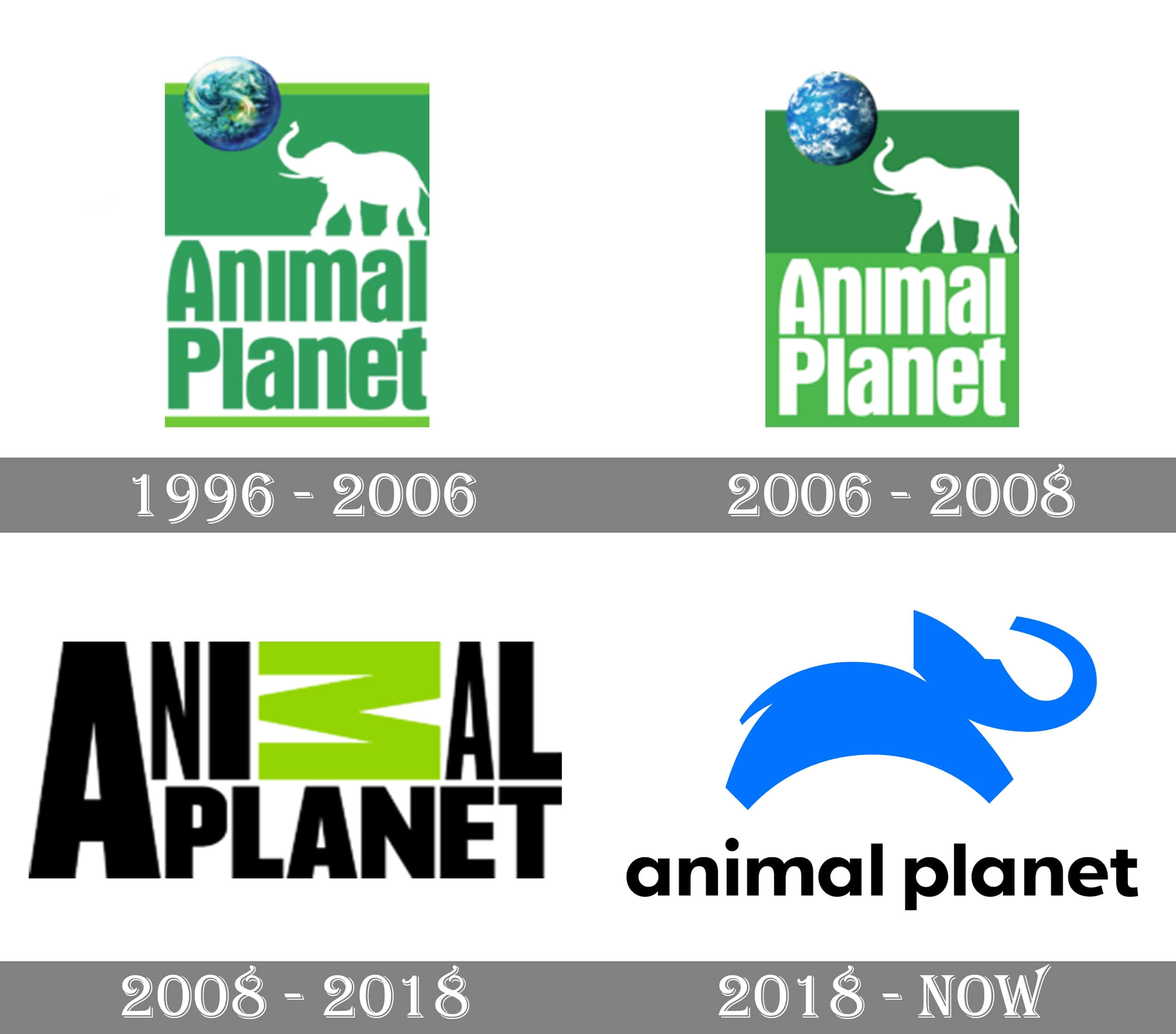 Animal Planet Picture Wallpaper