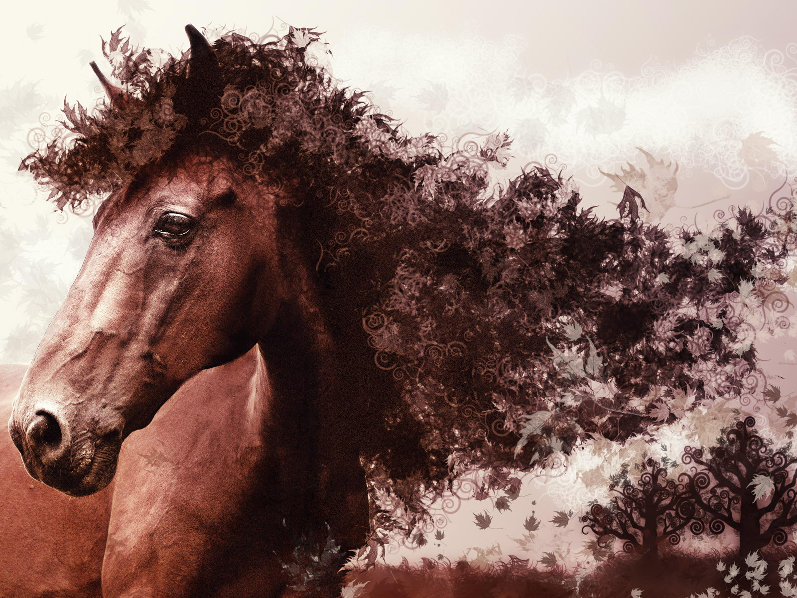 Horse Amazing Wallpaper Cool Background