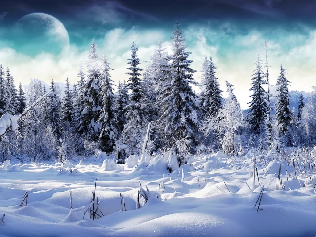 Winter Trees Desktop Wallpaper And Stock Photos