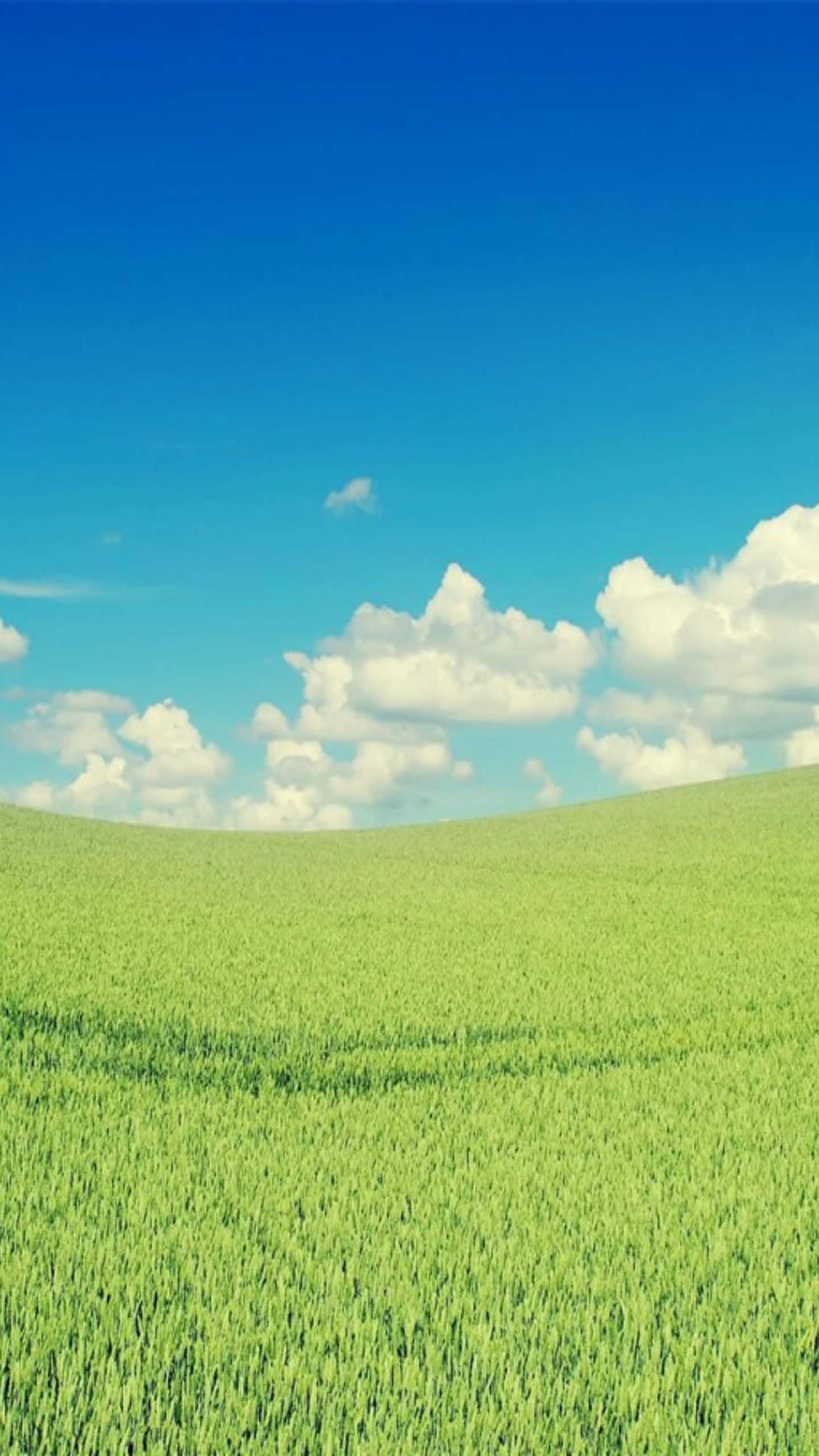 Cloud Sky Green Wallpaper Sc Smartphone