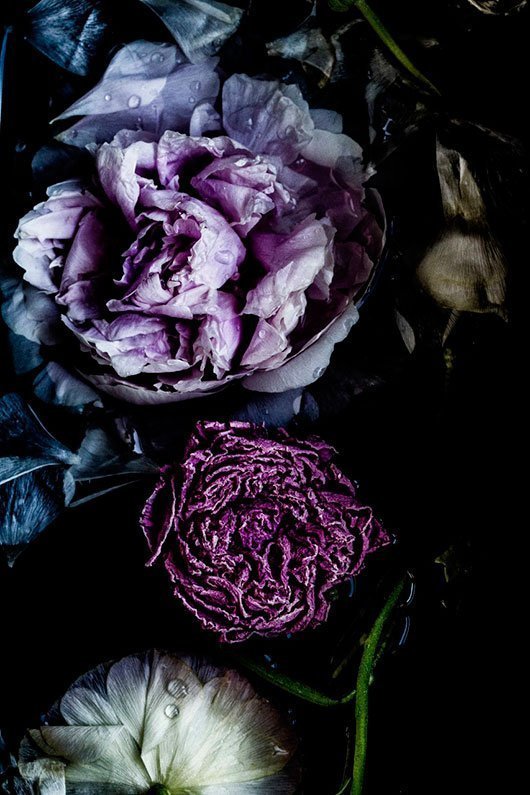 Ellie Cashman Makes Floral Wallpaper In Big Dark Lush Oversized