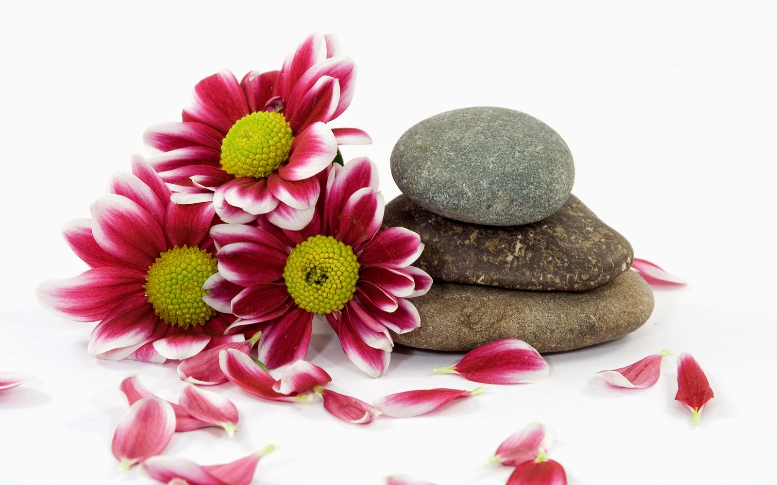 HD Zen Stone With Flowers White Bg Pictures Jpg