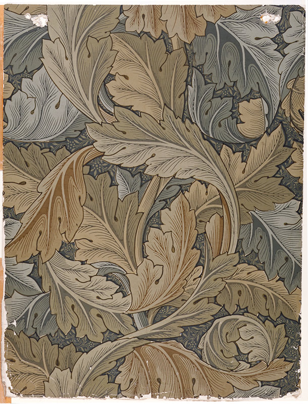 Acanthus Wallpaper By William Morris Museum No E