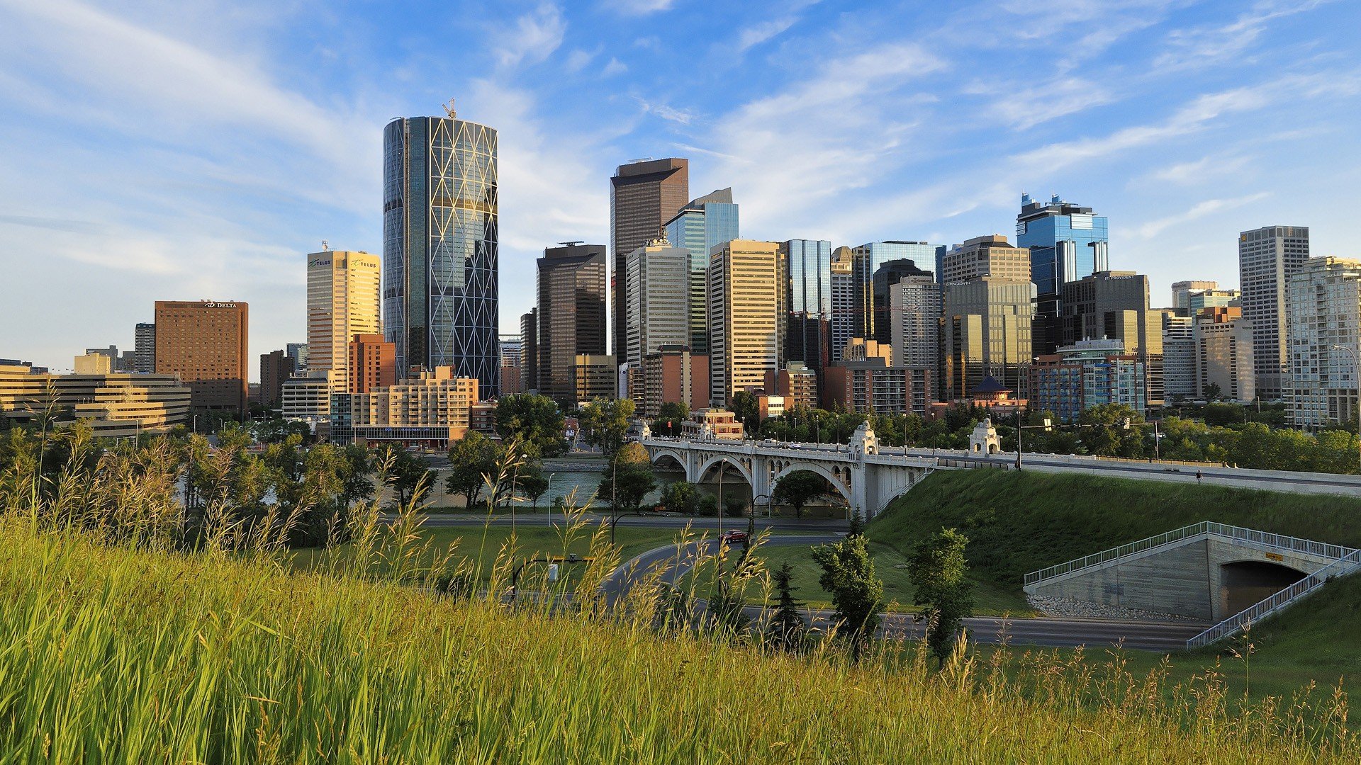 Adorable Calgary Picture in HD Quality