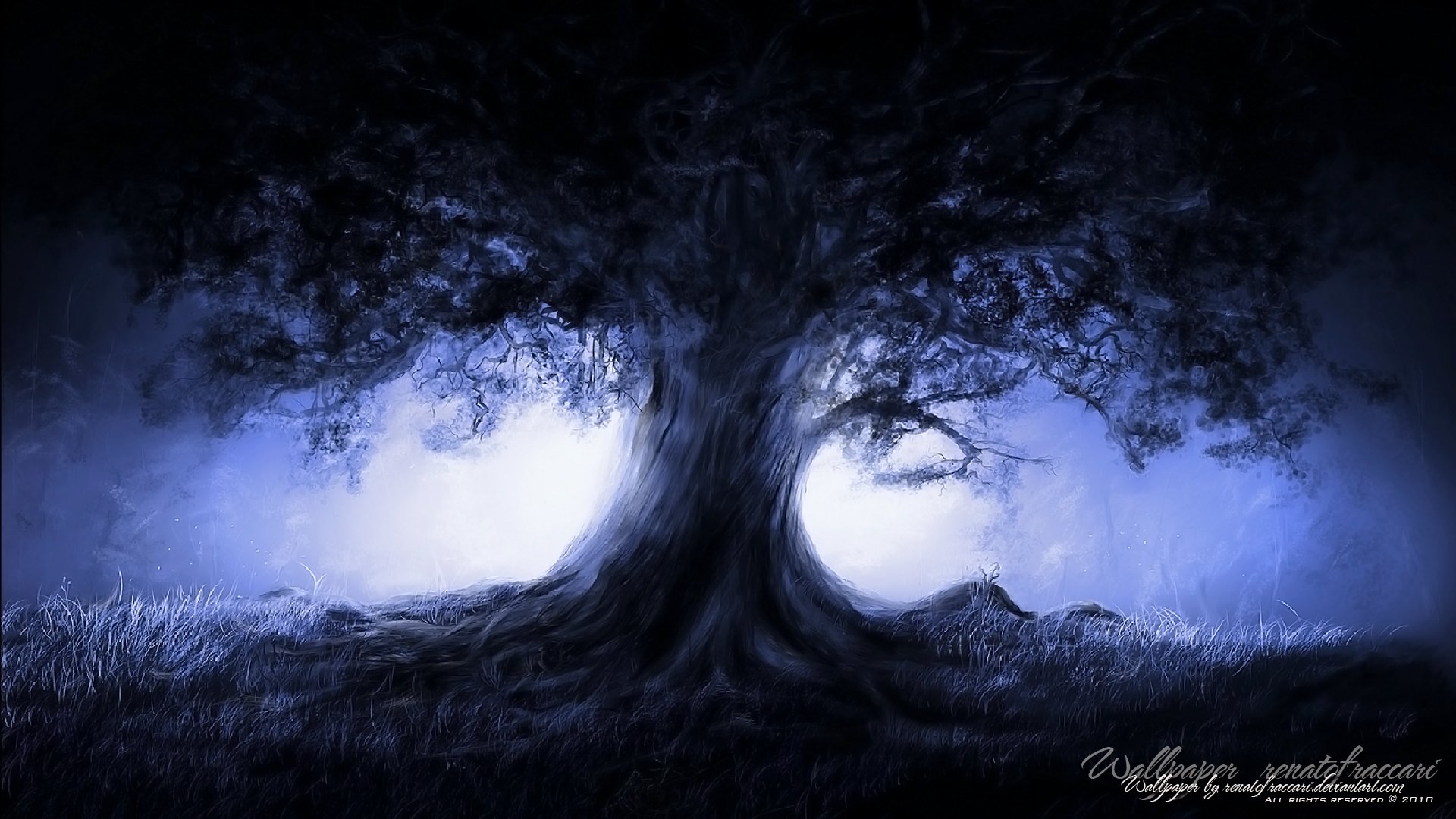 Tree HD Wallpaper Background Image