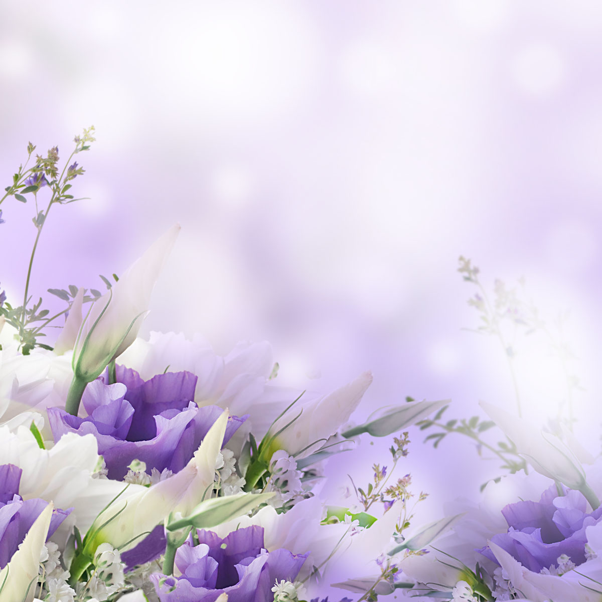 Funeral Background Designs If You Have Any Questions