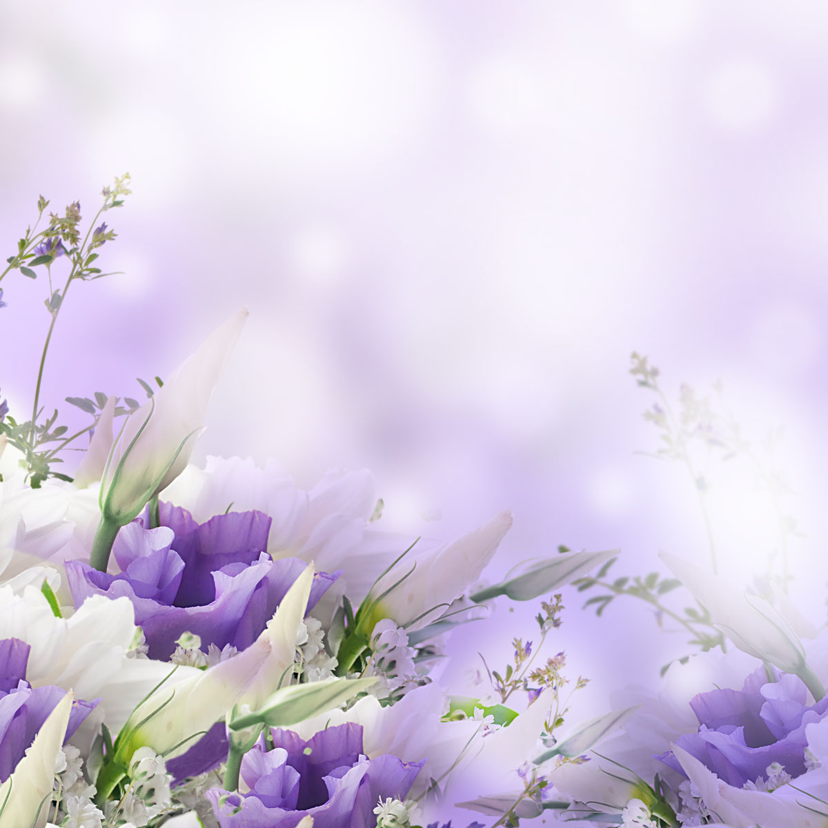 Funeral Background Pictures WallpaperSafari   Y5SlcM 