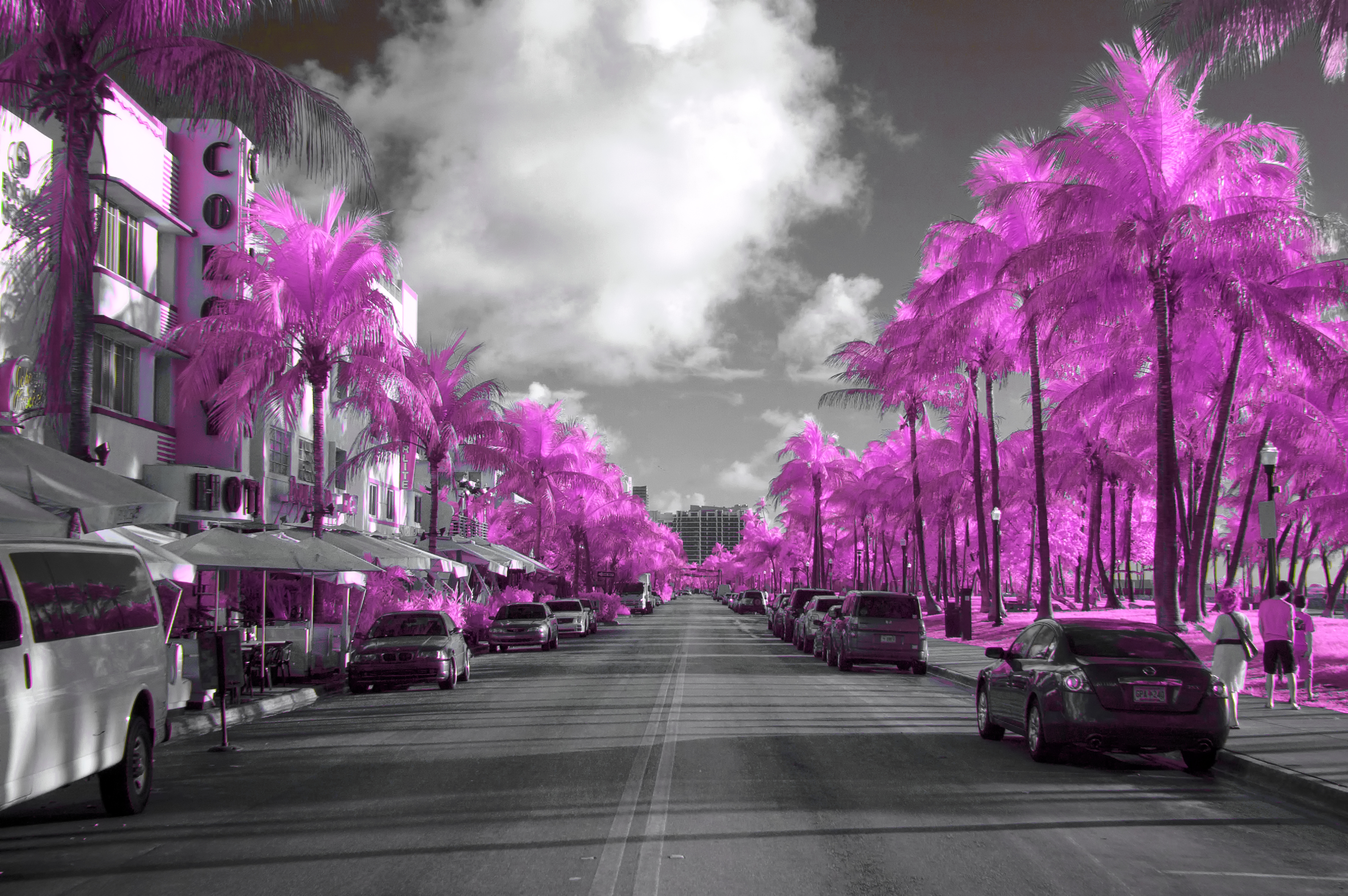 Майами фиолетовый
