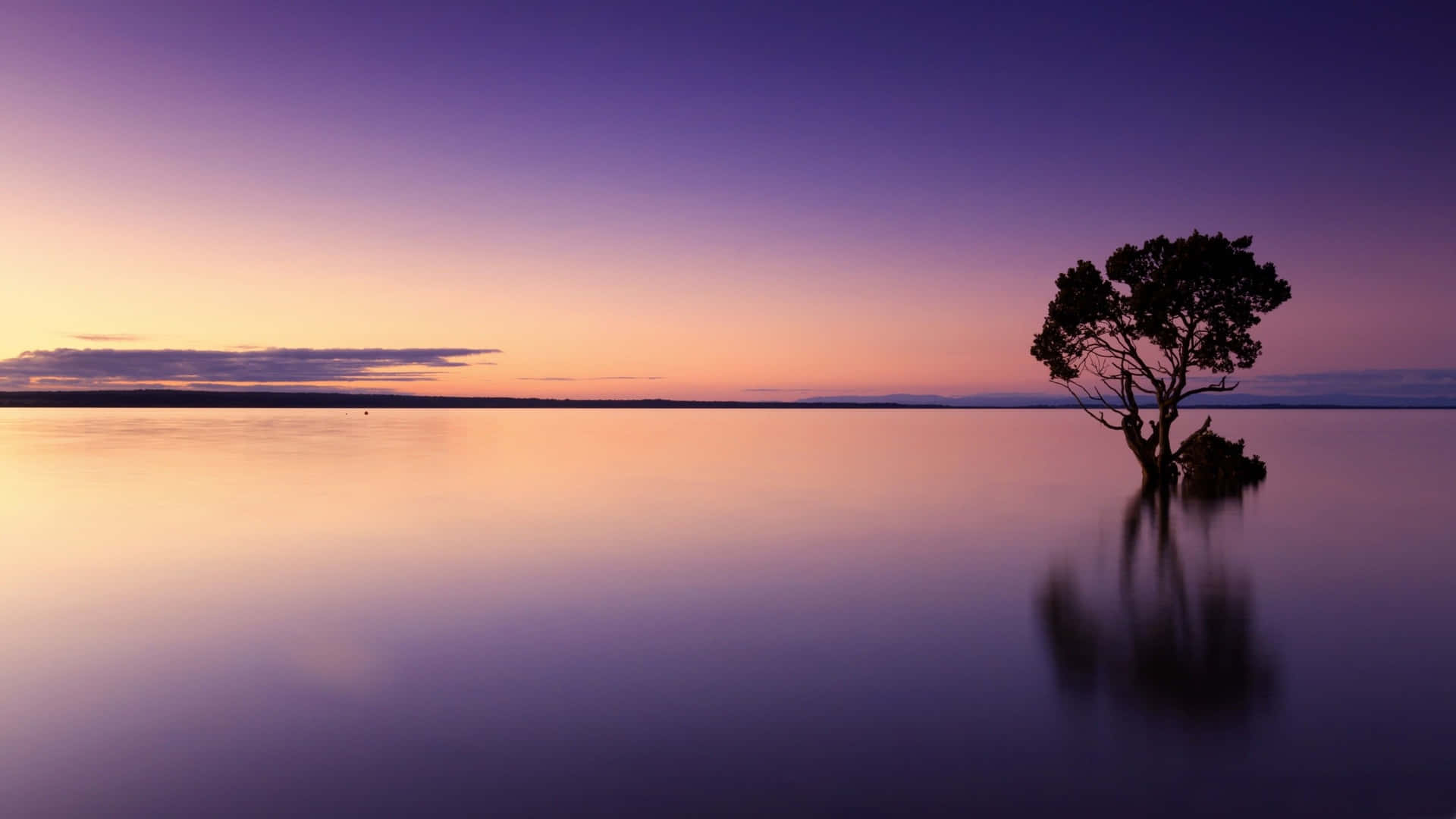 Calming Desktop Wallpaper