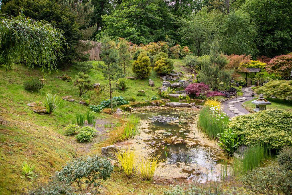 Japanese Garden Kingston Lacy House Nt National Wallpaper By