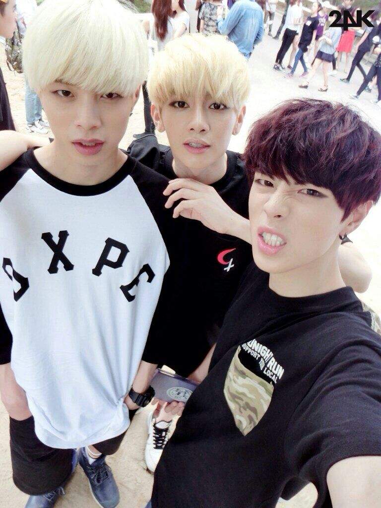 24k K Pop Amino