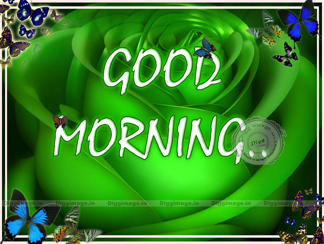 good morning images with messages wallpapers   Mobile
