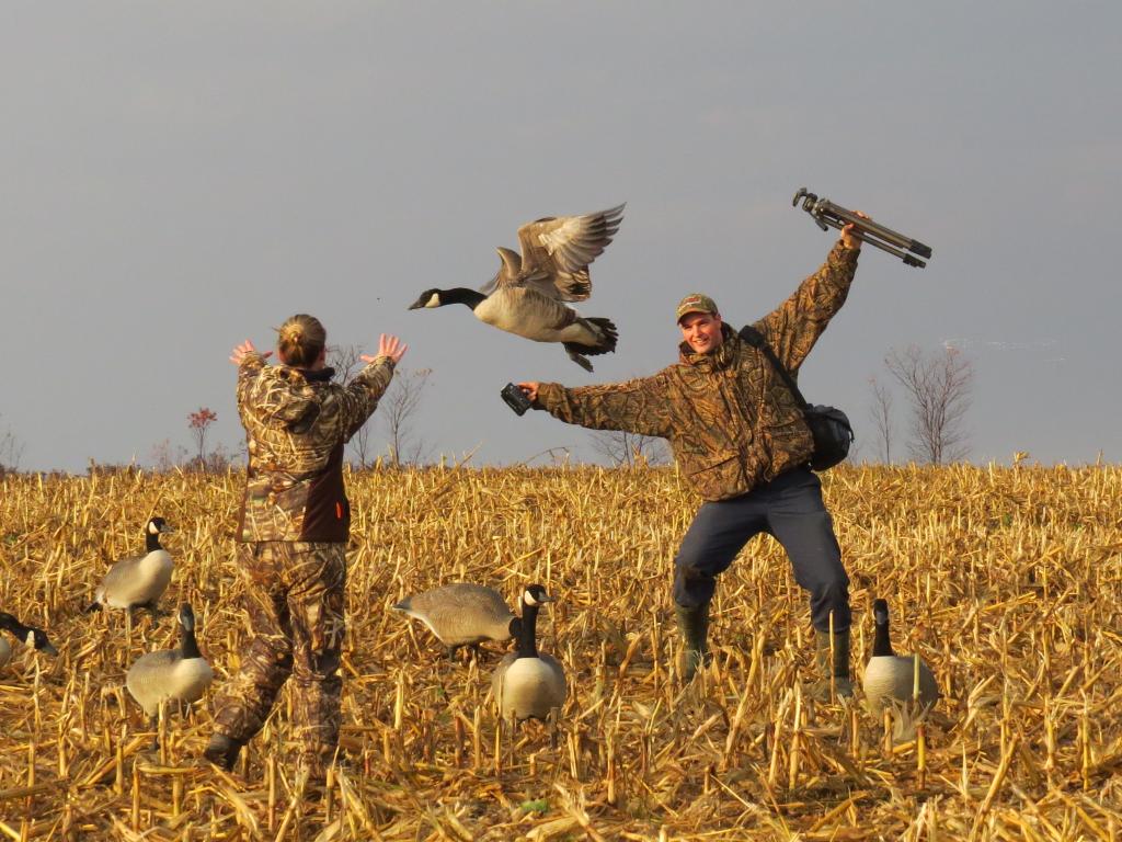 Goose Hunting Wallpaper Quebec Canada