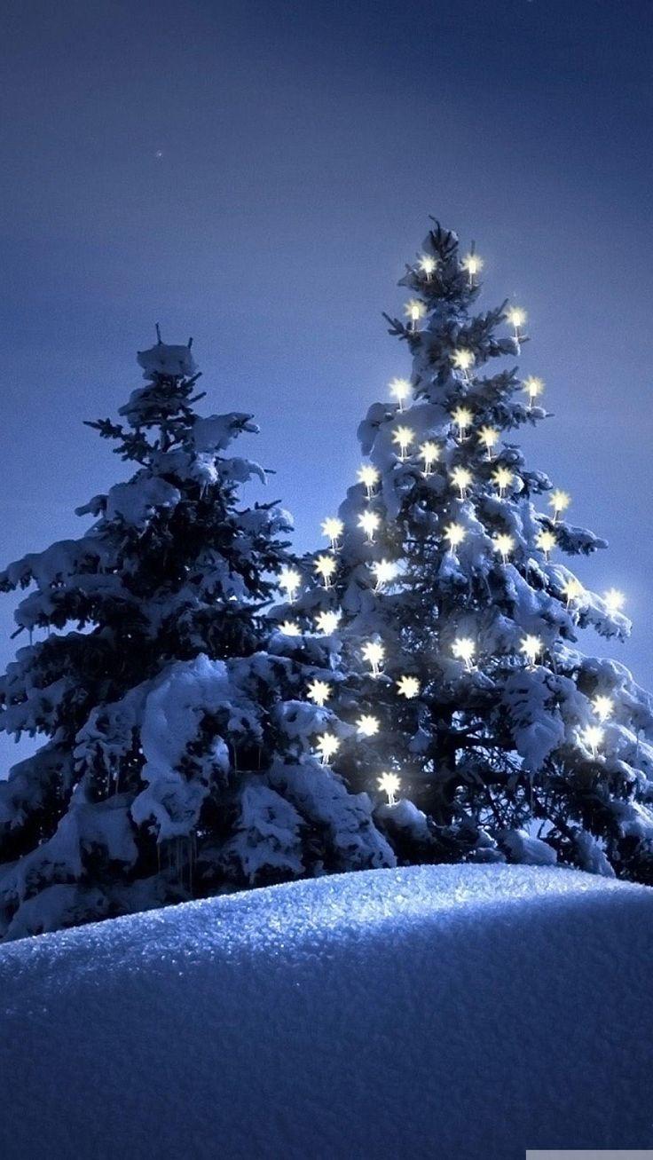 Snow christmas tree winter iPhone 6 wallpaper Wallpaper iphone