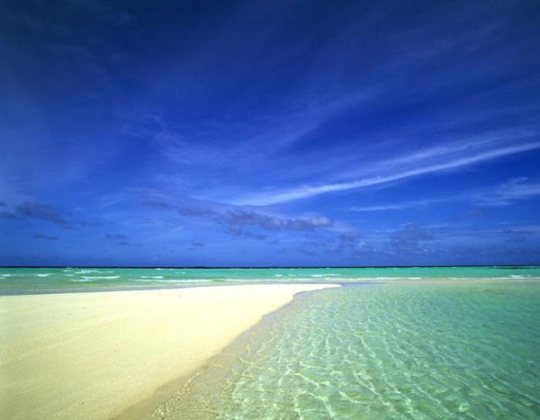 Beautiful Island My Dream Sunny Beach Soft Golden Sand Palms