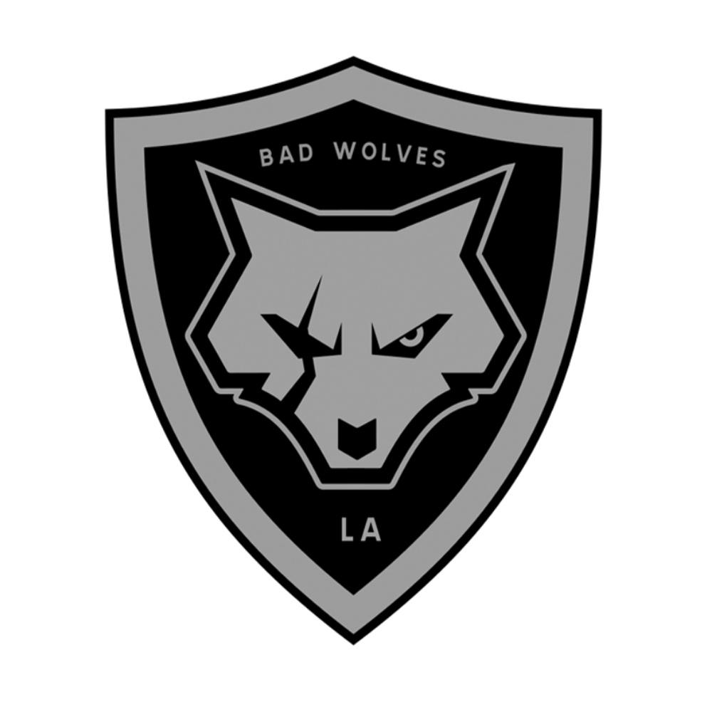 Shield Embroidered Patch Accessories Bad Wolves Store