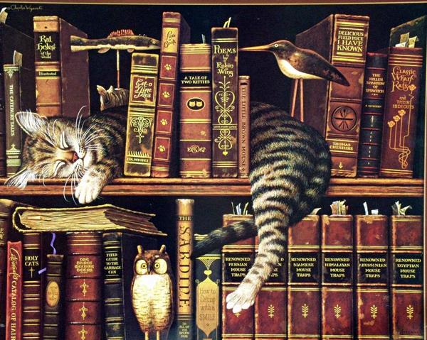 Cats Library Books Owls Wallpaper