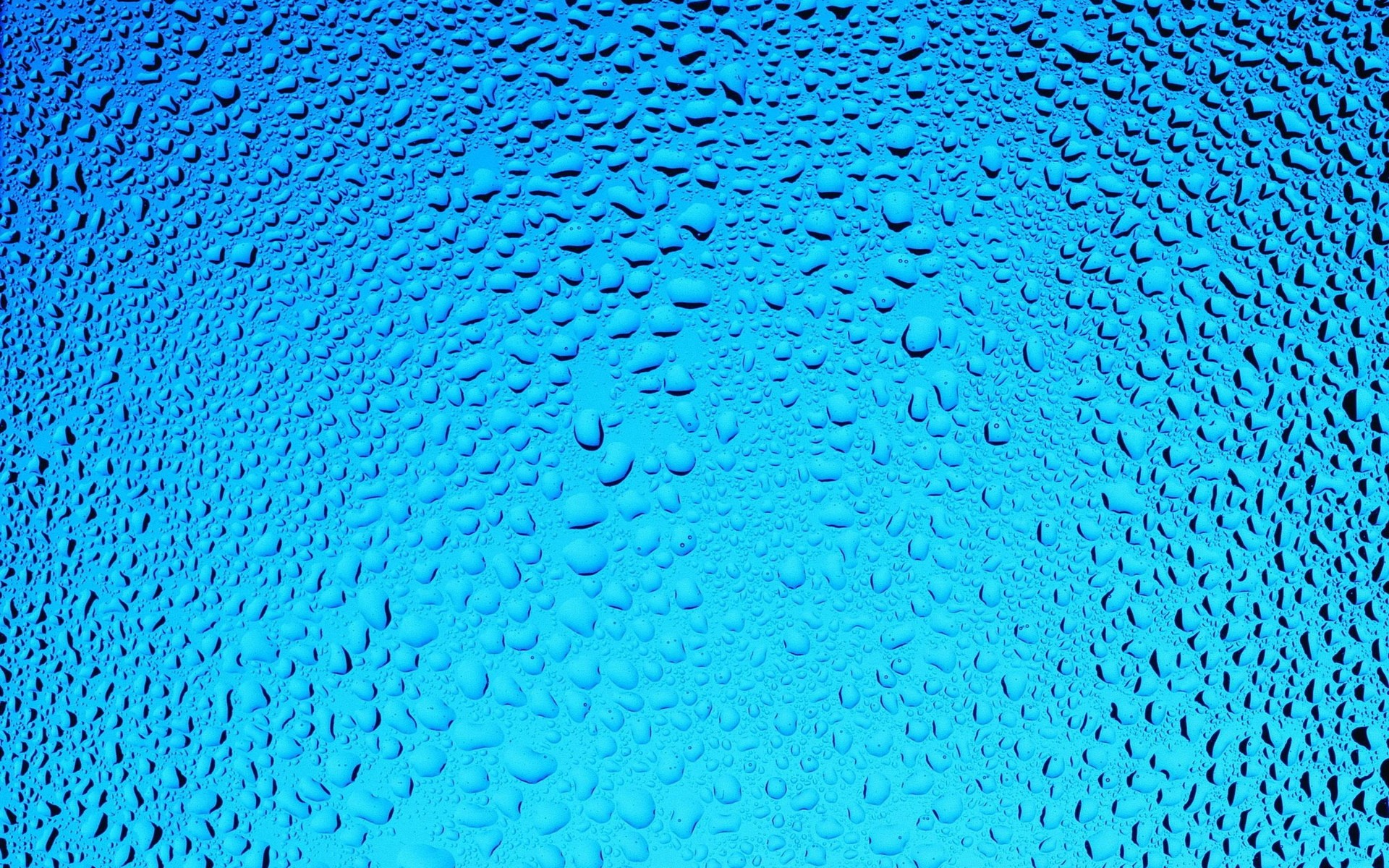 Raindrops Full HD Wallpaper And Background