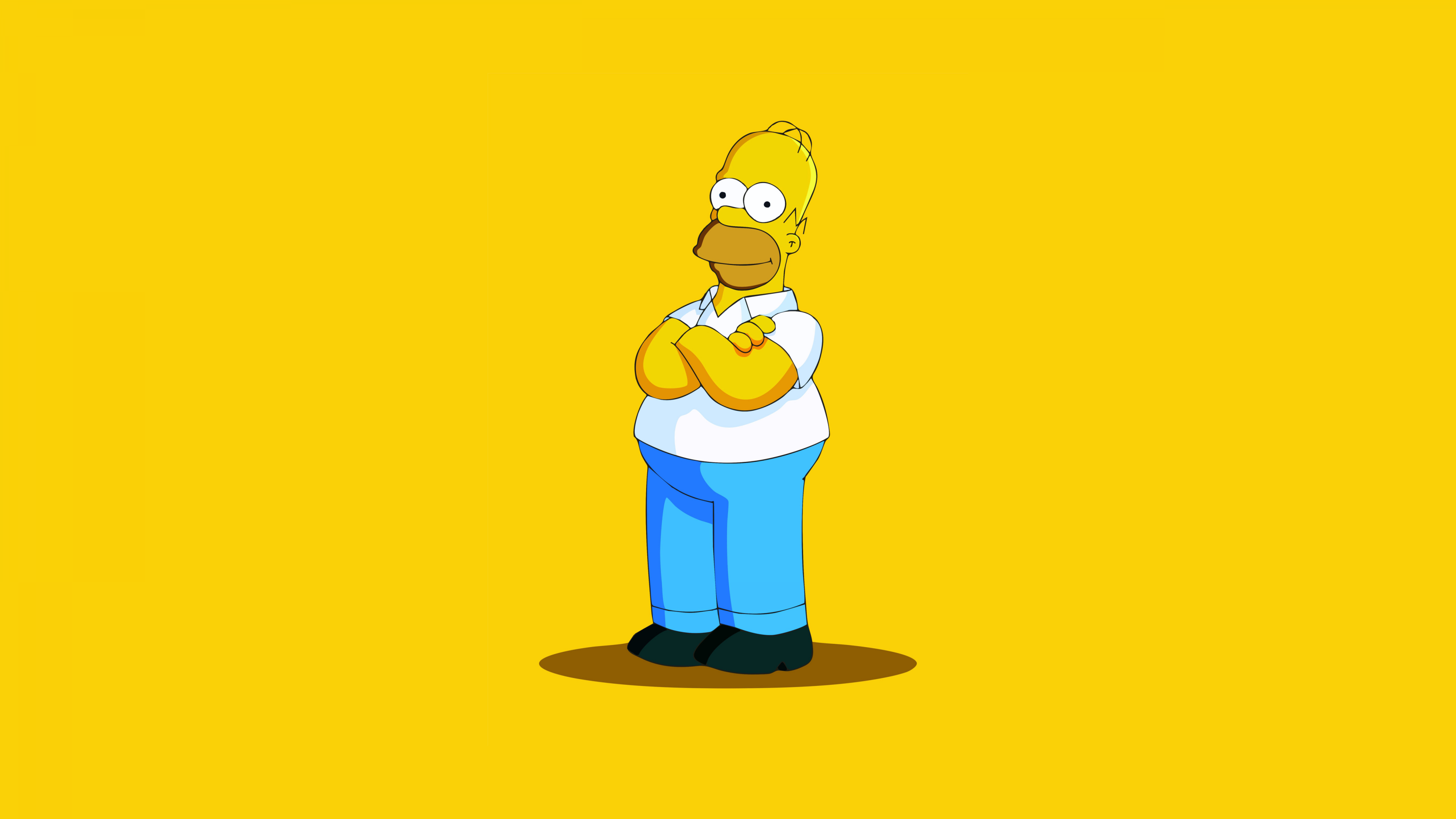 The Simpsons Homer Simpson Wallpaper HD Desktop And