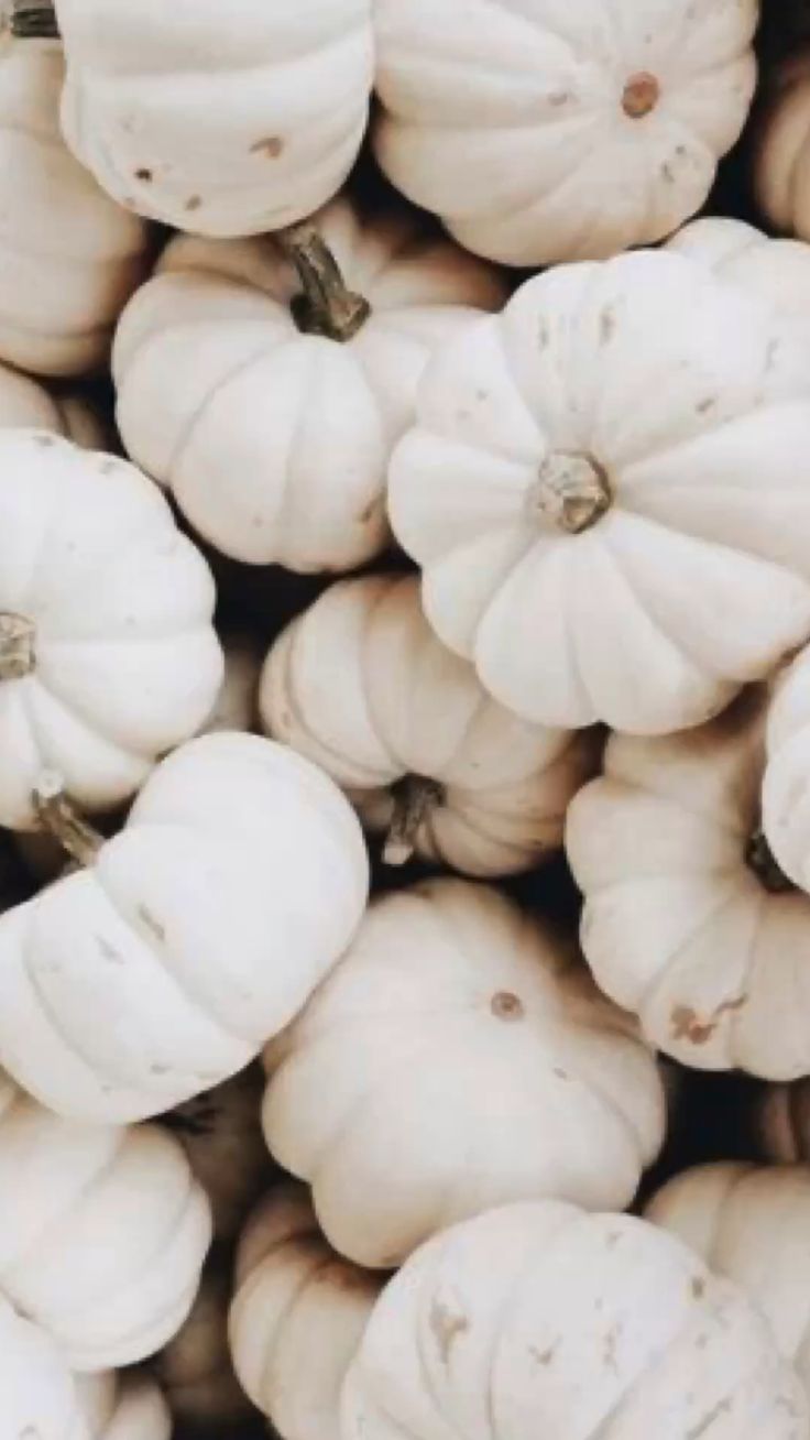 Fall iPhone Wallpaper Ideas