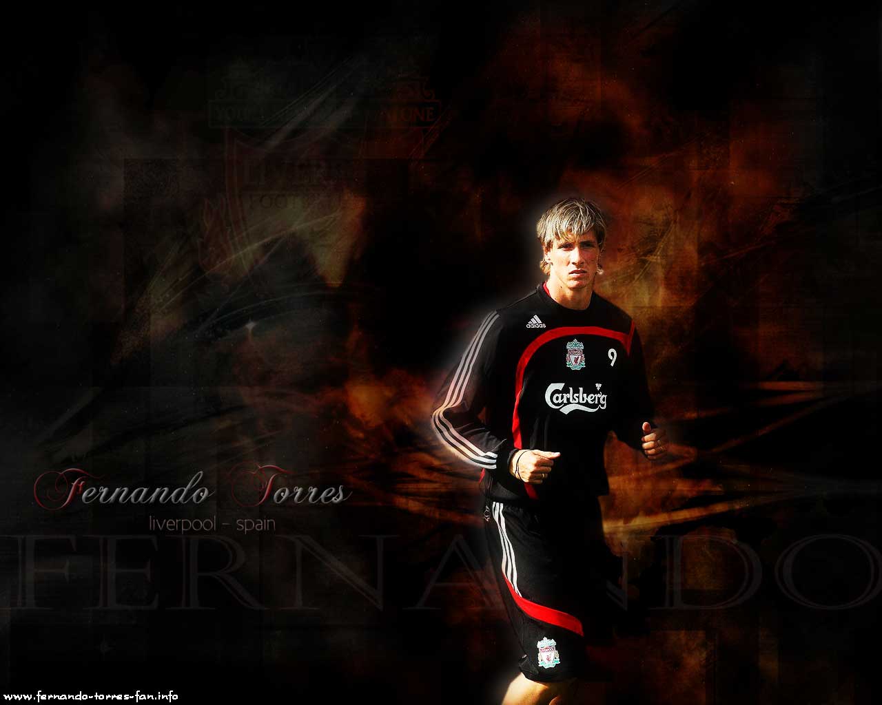 Fernando Torres Wallpaper Celebrity Sport