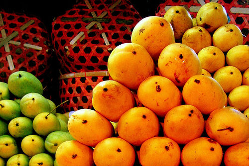 Mango Wallpaper Mangoes For You