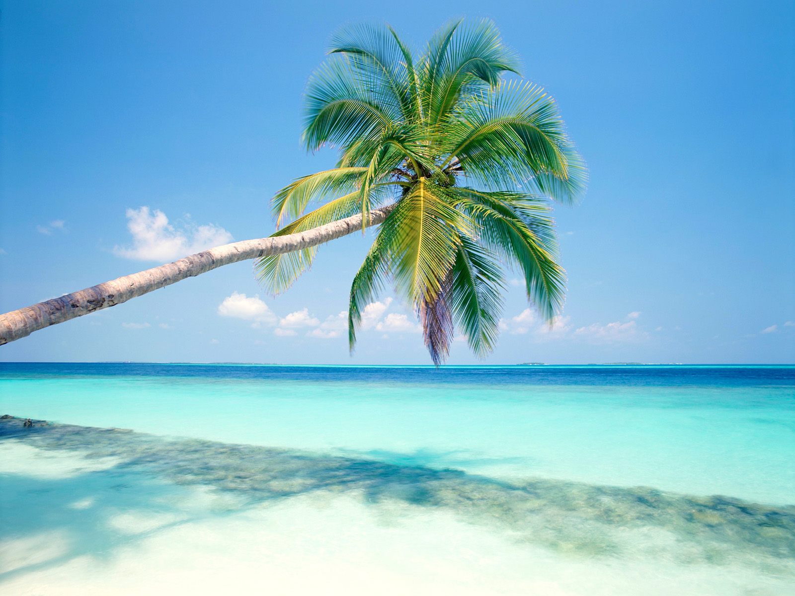 Tropical Island Wallpapers HD Wallpapers 1600x1200
