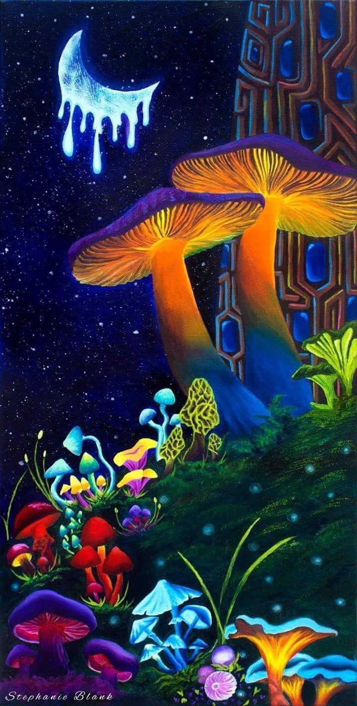 Mushroom Wallpaper Enjpg