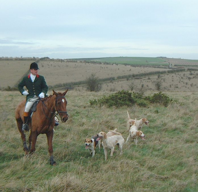 Huntsman And Whipperin Casting The Dogs To Pick Up Fox Scent 72kb