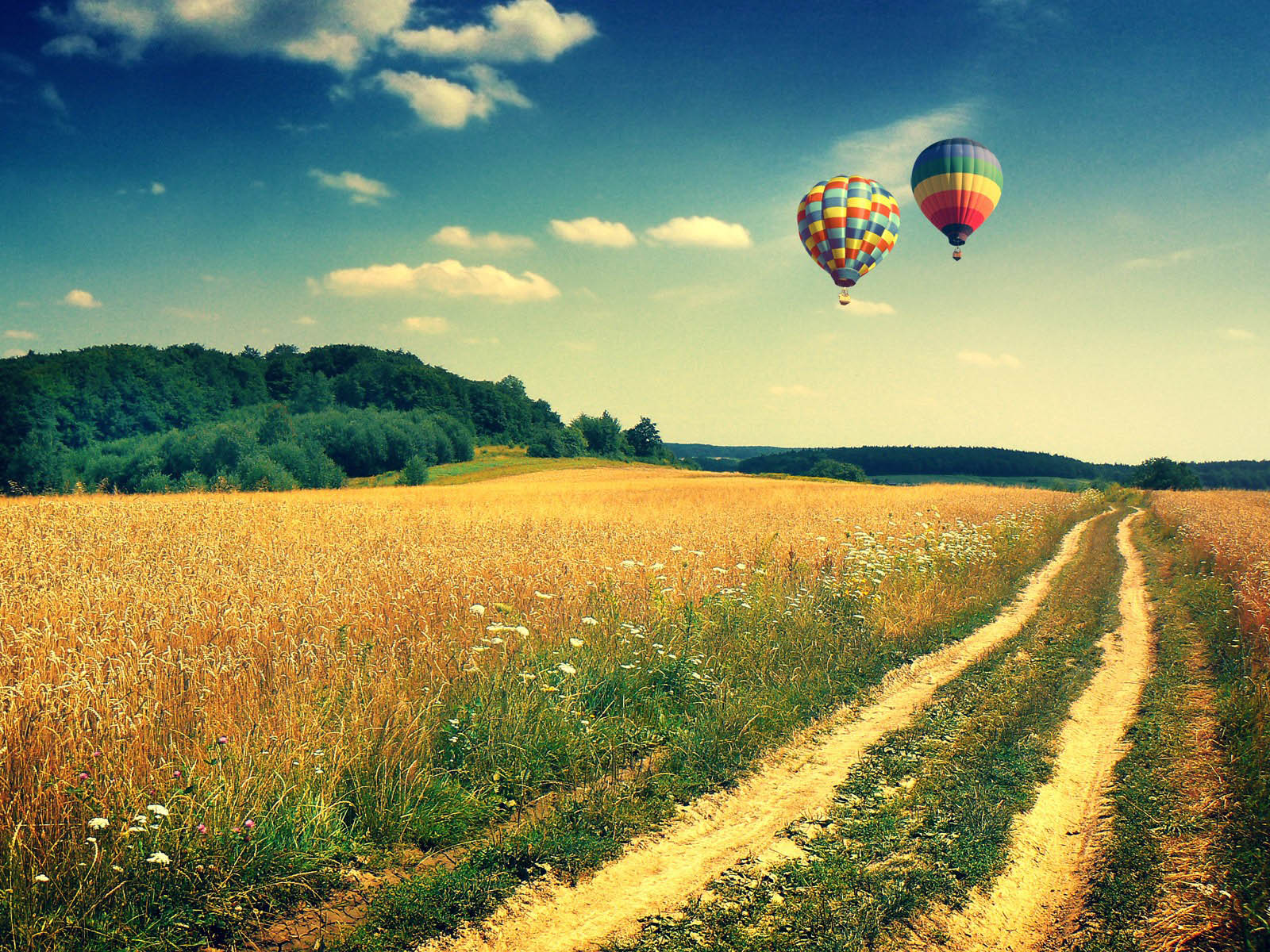 Tag Hot Air Balloons Wallpapers BackgroundsPhotos Images and