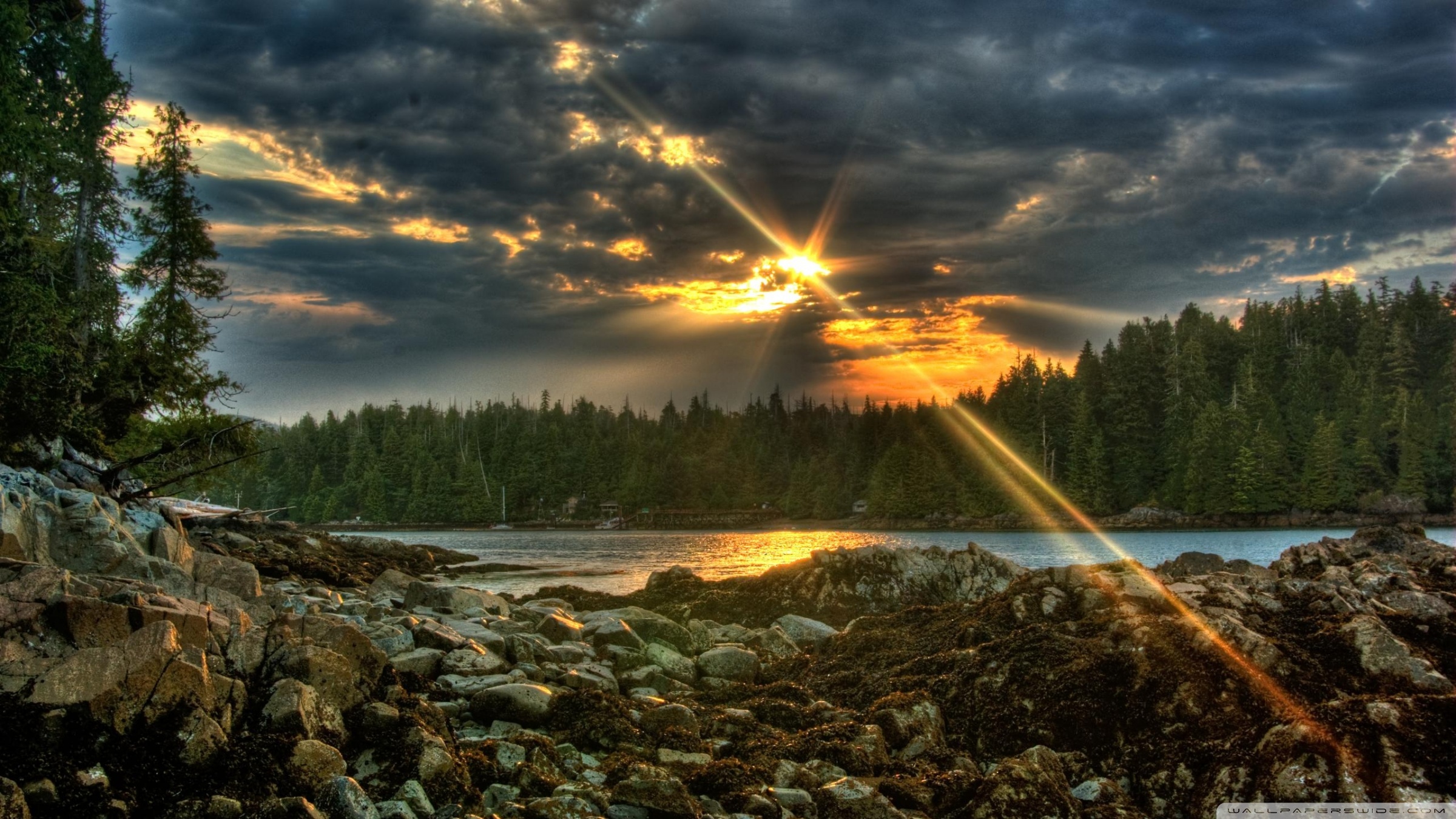 Sun Rays HD Wallpaper