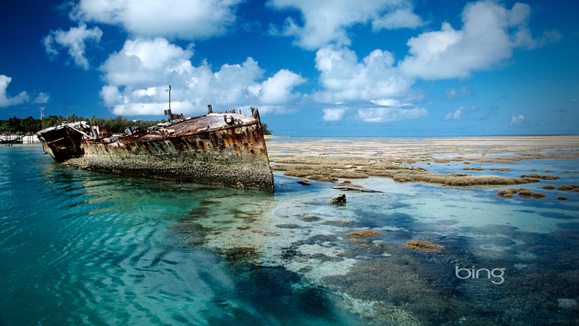 Bing Shipwreck On Heron Island Desktop Background Australia Full HD