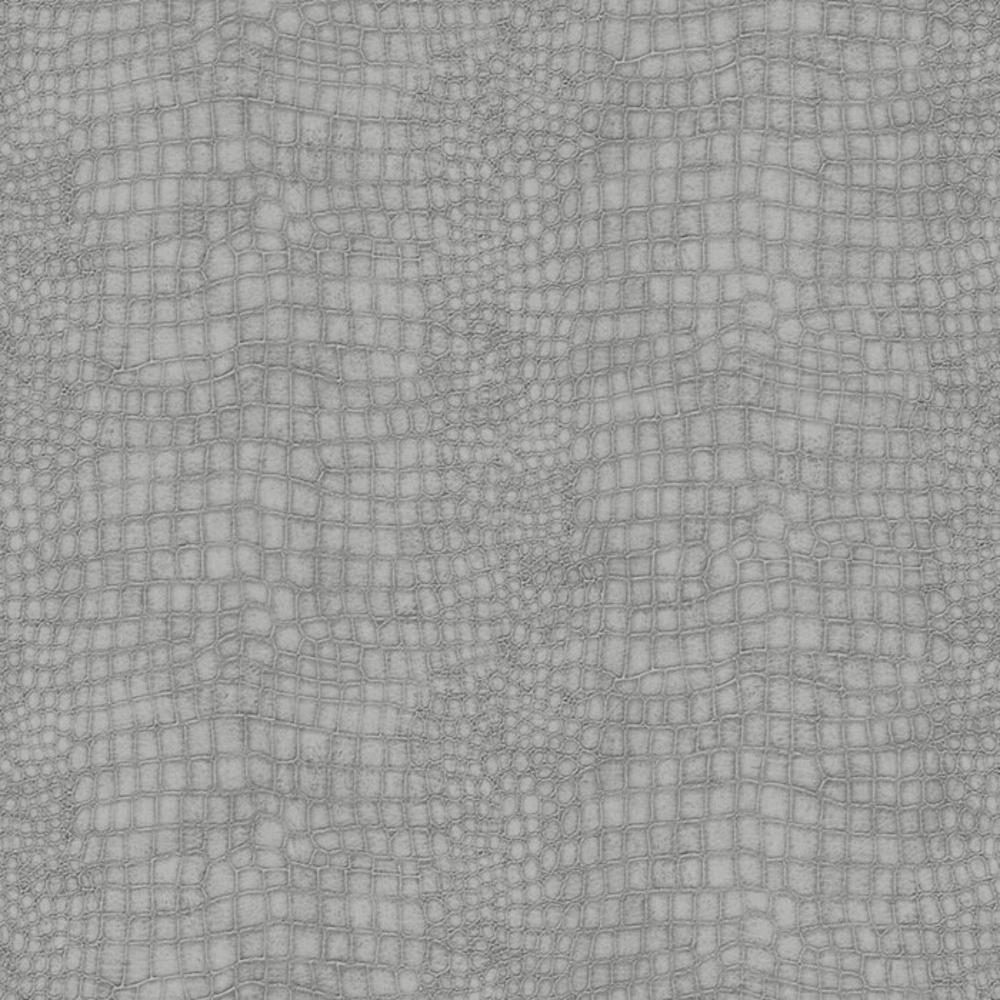 Crocodile Skin Texture And Text Pattern