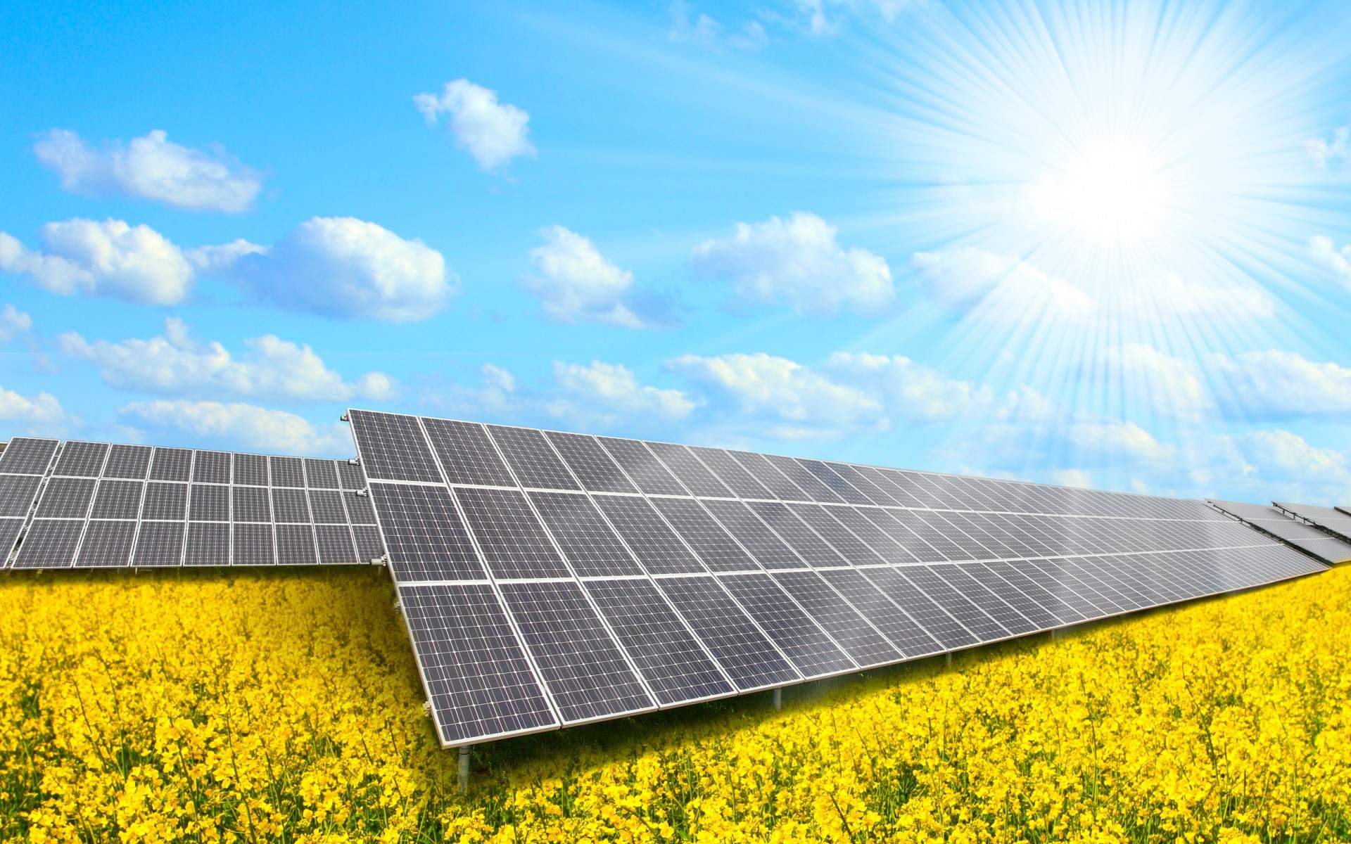 Wallpaper Solar Panels Field Sun Power System