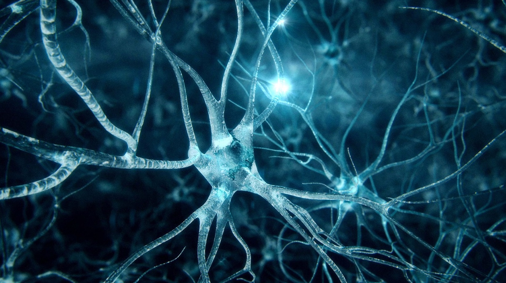 Transhumanism Organ On Chip Fight Against Aging By Guilhem