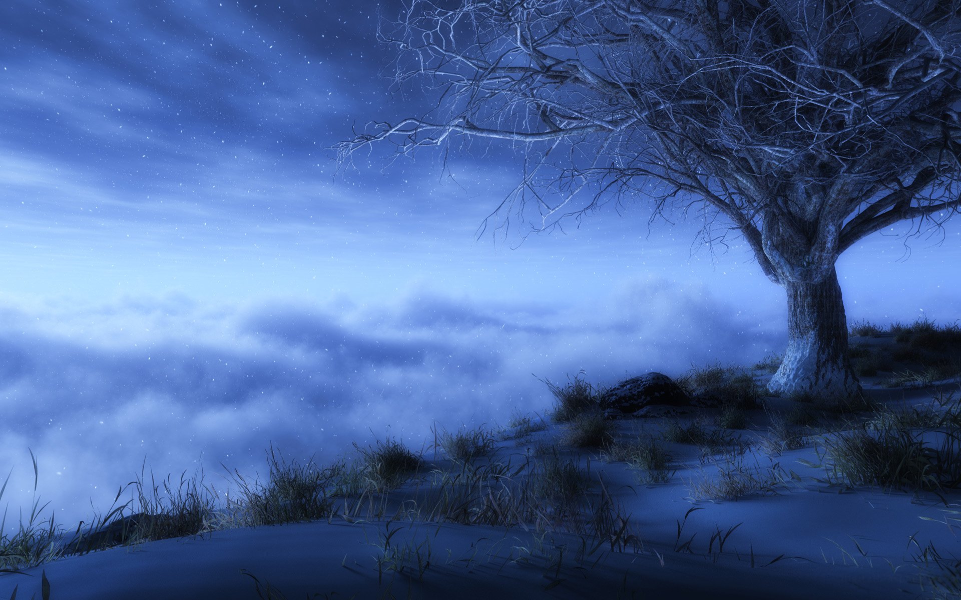 Lonely Tree HD Wallpaper Background Image