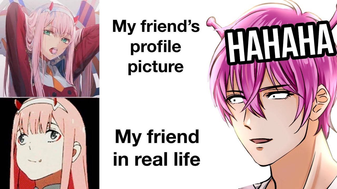 Top Anime Meme Wallpaper Full HD 4k To Use