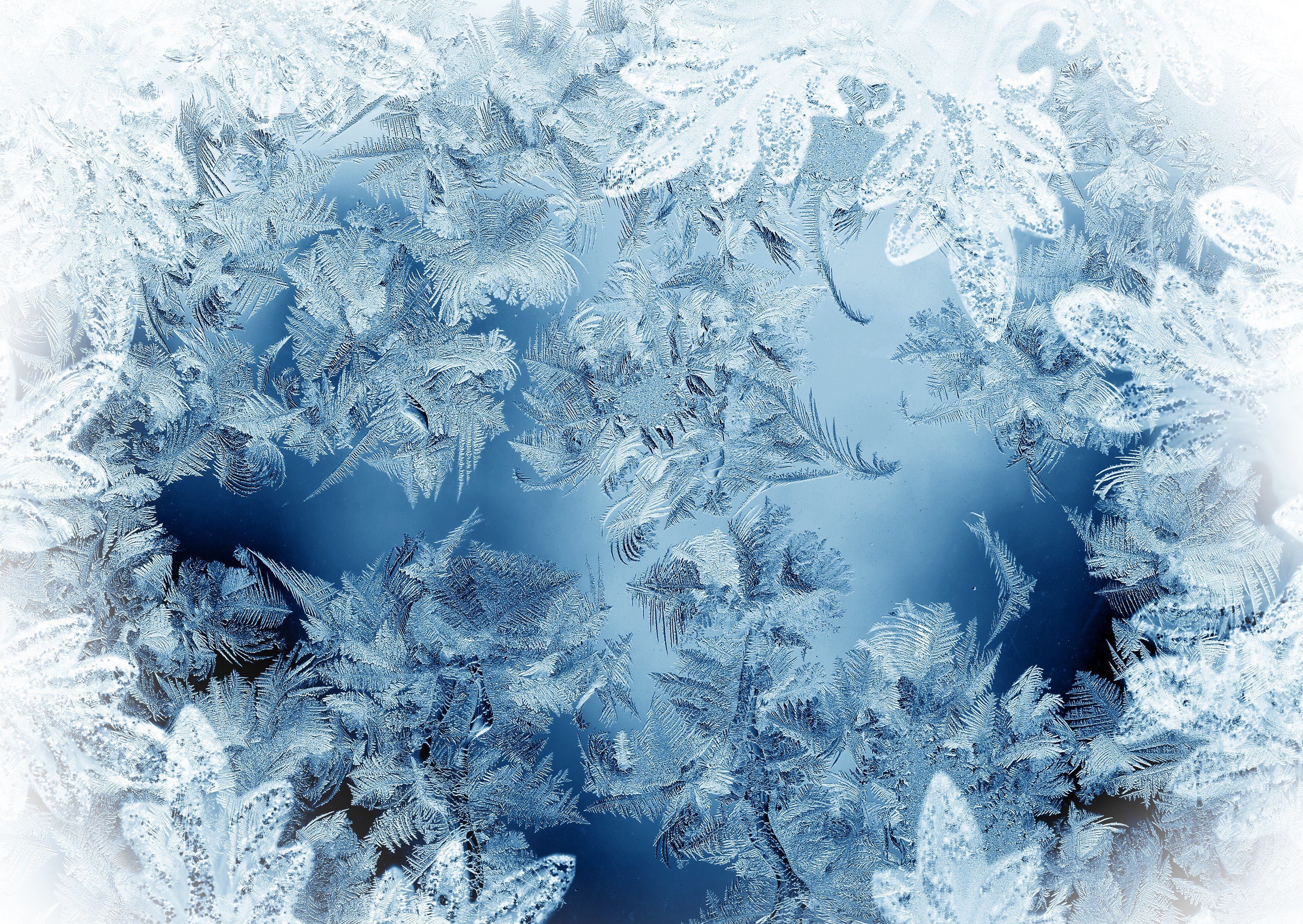 Texture Ice Pattern Frost Wallpaper Background Winter