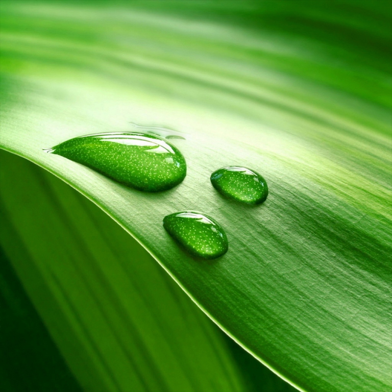 50 Android Tablet Wallpaper Size On Wallpapersafari