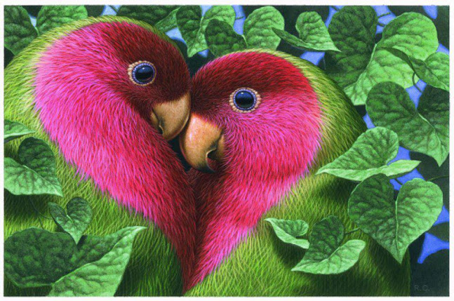 162000 Love Birds Stock Photos Pictures  RoyaltyFree Images  iStock  Love  birds white background Valentines love birds Love birds vector