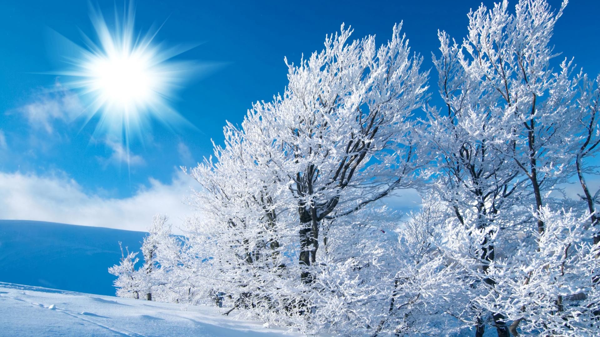 Winter Background For Computer Image