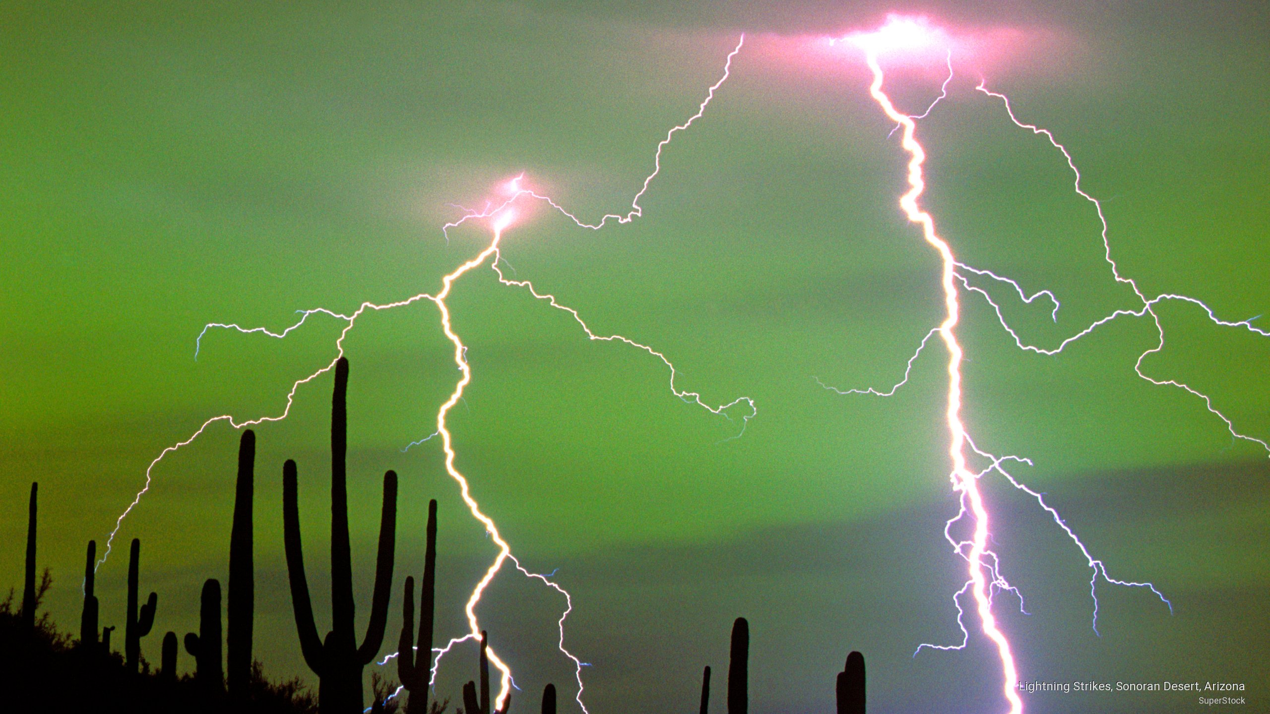  Weather Wallpaper   Lightning Strikes Sonoran Desert Arizona 2560x1440