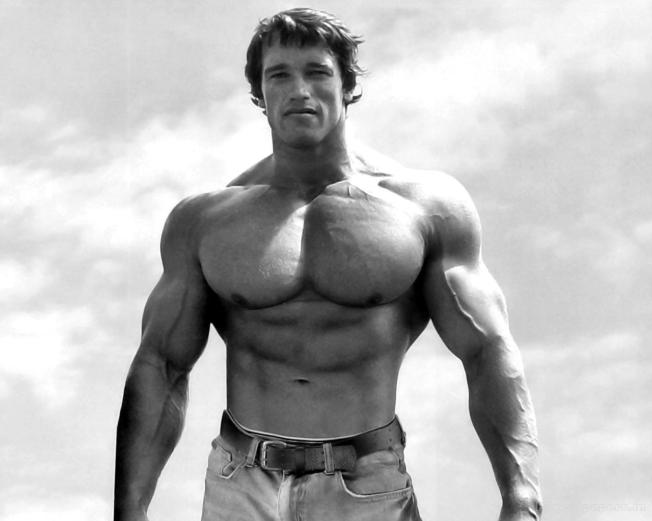 Arnold Schwarzenegger HD Wallpaper Bodybuilder Full Size