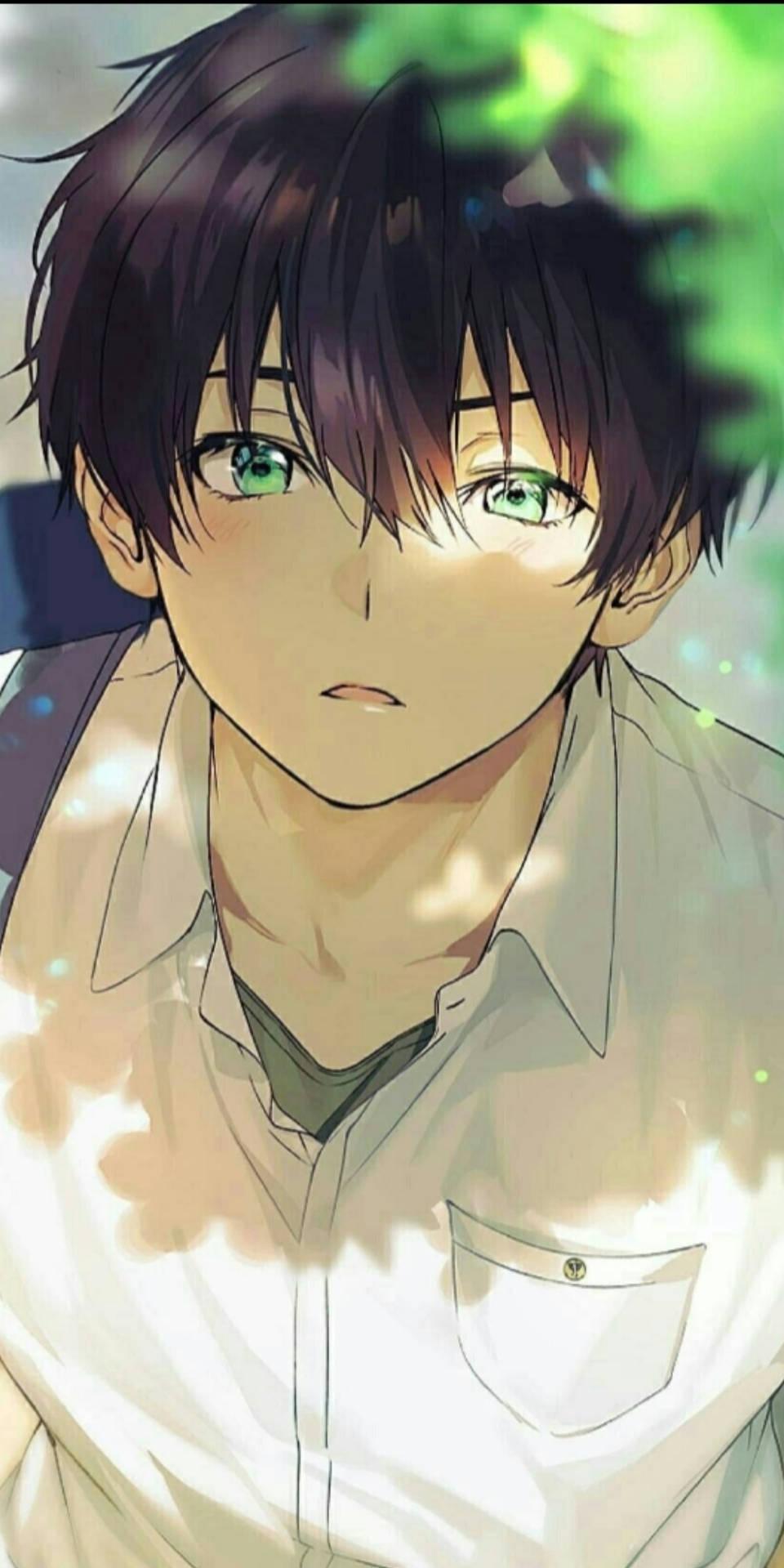 Download Green eyed Aesthetic Anime Boy Wallpaper