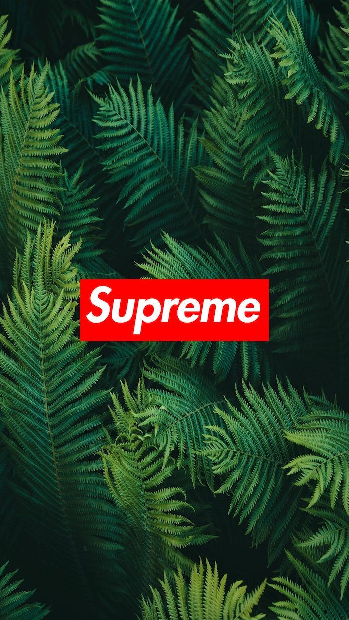  1001 ideas For a Cool and Fresh Supreme Wallpaper in 2020